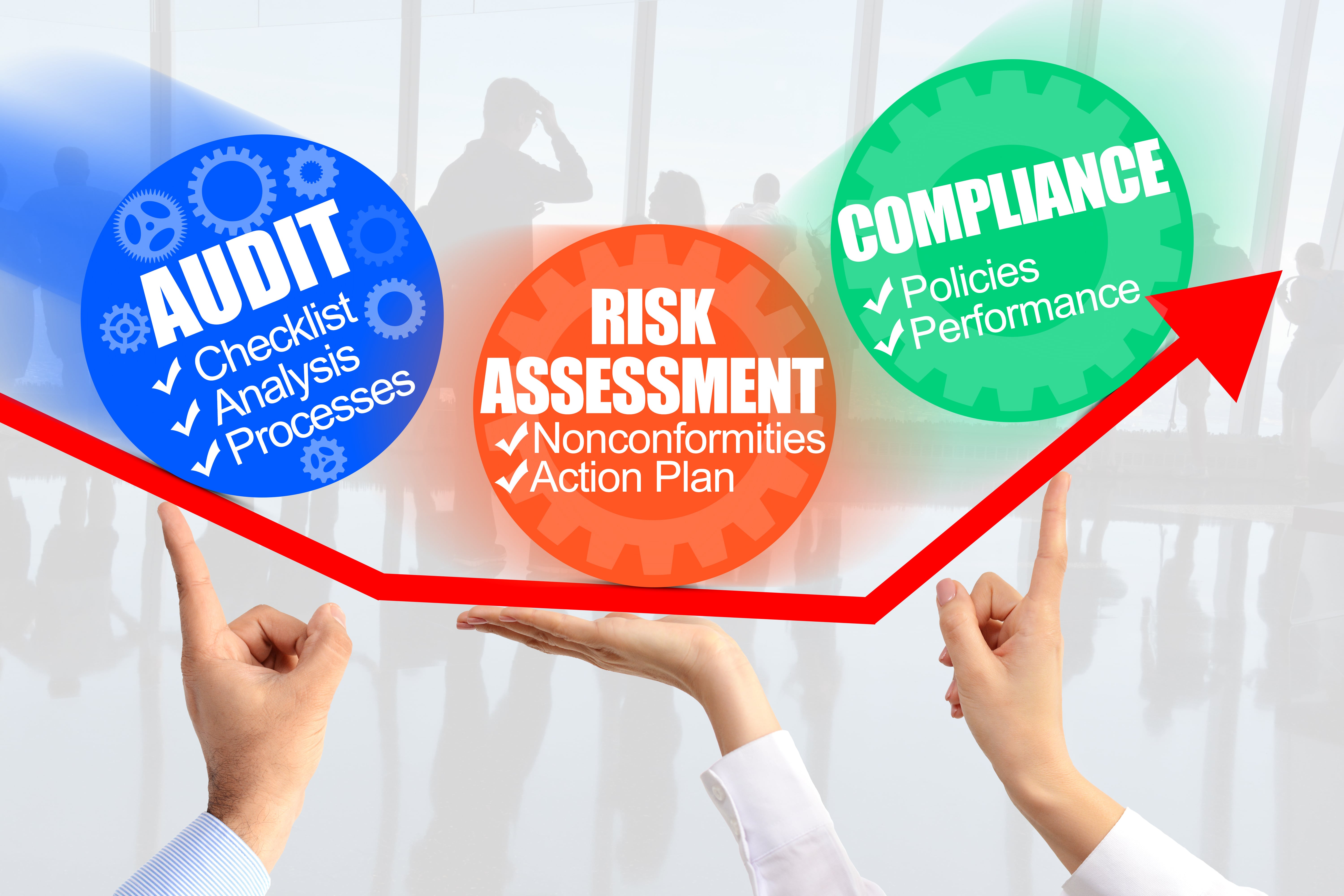 Management Systems Auditing